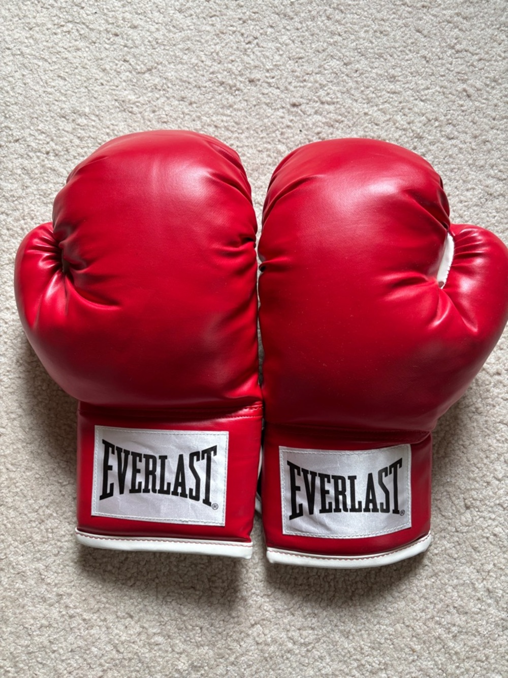 Red Everlast Boxing Gloves